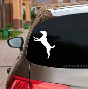 Car Window Decals - Variety